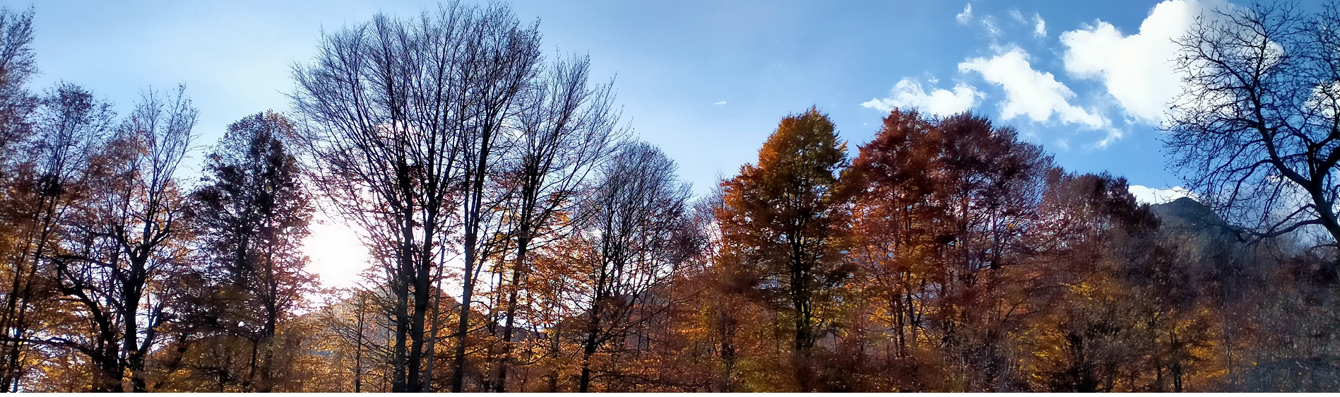 autunno
